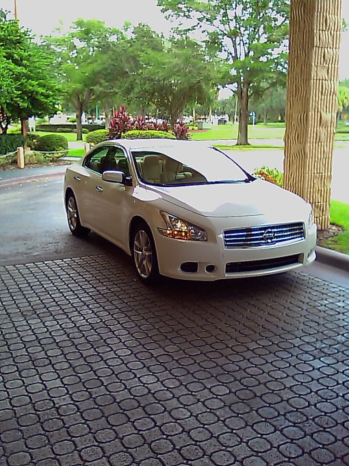 "Maxie" - Our Hertz Maxima